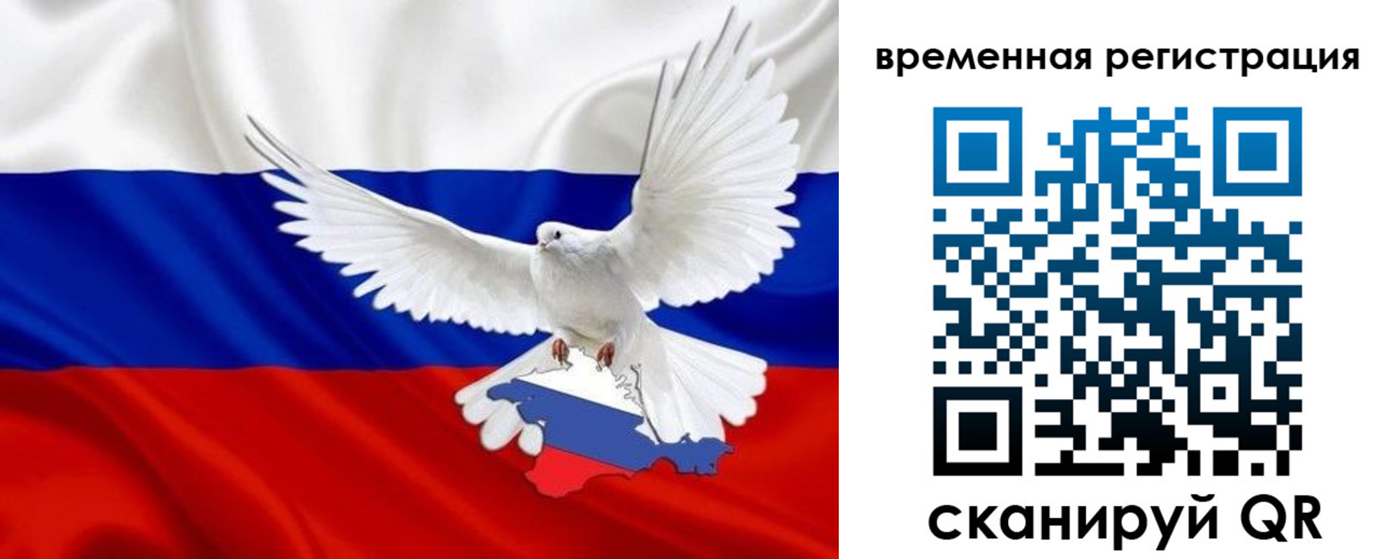 прописка законно в Заринске